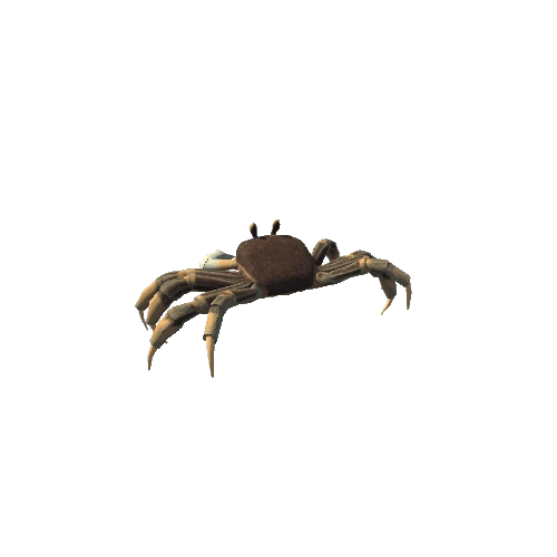 Crab (Brown)